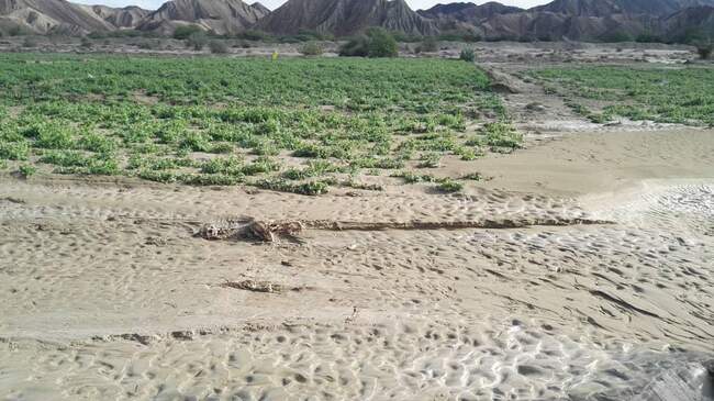 خسارت سیل در سیستان و بلوچستان