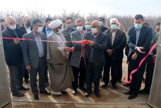 یک واحد گلخانه تولید فلفل دلمه‌ای در تاکستان به بهره‌برداری رسید 