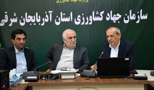 تولید سالانه بیش از ۱۲۰ هزار تن گوشت مرغ در آذربایجان شرقی