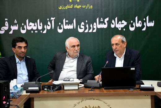 تولید سالانه بیش از ۱۲۰ هزار تن گوشت مرغ در آذربایجان شرقی