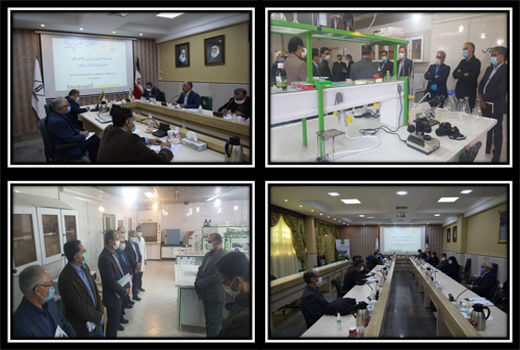 ارزش ناخالص کل تولیدات بخش کشاورزی خراسان رضوی ۳۵ هزار میلیارد تومان است