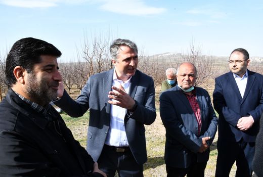 بازدید از باغ سیب پایه مالینگ و یک واحد گاوداری در شهرستان بستان آباد برای فعالیت شرکتهای دانش بنیان