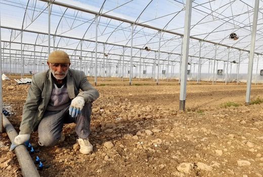 آغاز نهضت توسعه گلخانه‌ها در استان هم‌زمان با آغاز دولت سیزدهم