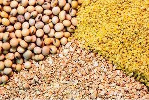 جهش تولید با افزایش قیمت نهاده‌ها انجام نمی‌شود