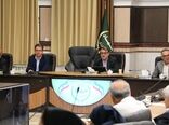 تشکل‌های روستایی، موتور محرکه مردمی‌سازی اقتصاد و راهکار عبور از چالش انرژی