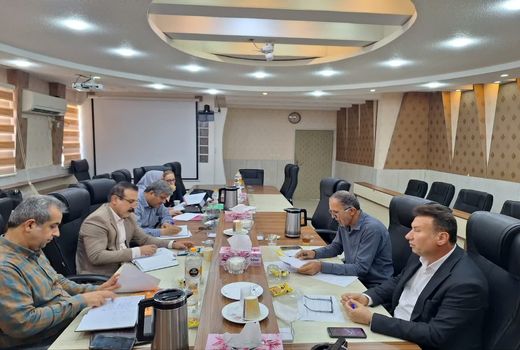 برآورد جمع آوری بیش از ۸۰ تن دانه روغنی کلزا از کشاورزان استان بوشهر