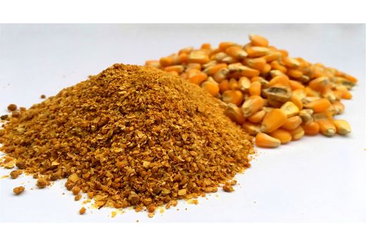 توزیع 4900 تن نهاده بین دامداران قائم شهری