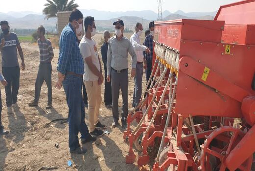 آغاز کاشت گندم با دستگاه جوی و پشته کار در قیروکارزین