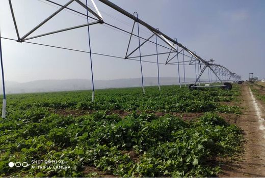 تجهیز 3000 هکتار مزارع کشاورزی جویبار به سیستم آبیاری نوین