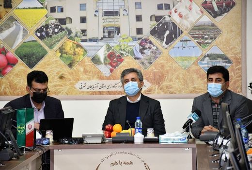  پیشرفت 65 درصدی کشت پاییزه در استان آذربایجان شرقی