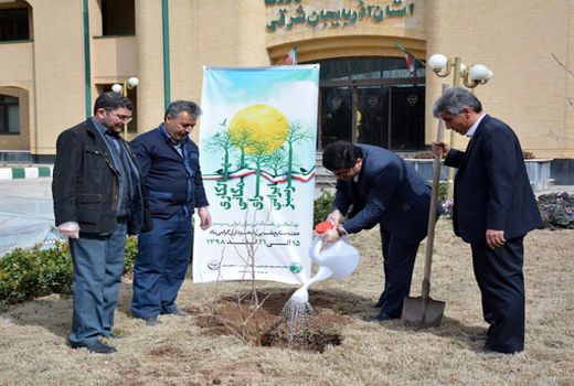 بهره‌گیری از ظرفیت سمن‌ها برای نهالکاری در آذربایجان شرقی