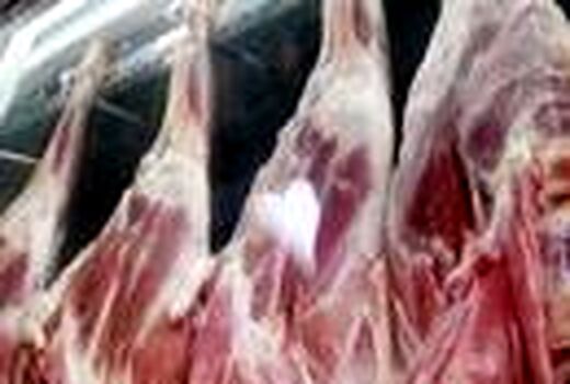 تولید سالانه 9 تن گوشت قرمز در آمل/توزیع 12 هزار تنی نهاده دامی