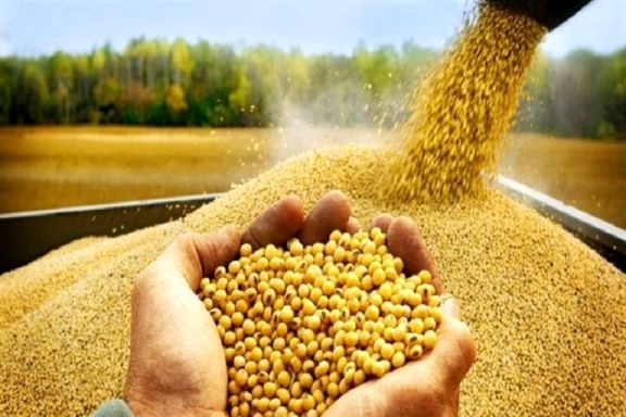 واردات بیش از ۶۹ هزار تن نهاده کشاورزی به کردستان/قیمت مرغ در کردستان نسبت به میانگین کشوری پایین‌تر است