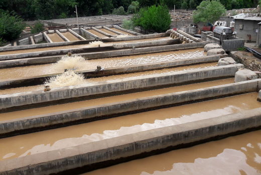 خسارت 7 هزار میلیارد ریالی سیل به بخش کشاورزی چهارمحال و بختیاری 