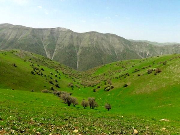 تمام مراتع کشور باید طرح مرتعداری داشته باشند