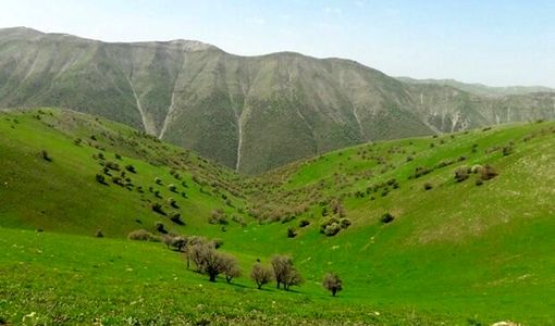 تمام مراتع کشور باید طرح مرتعداری داشته باشند