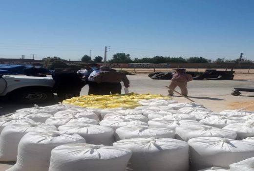 برخورد با دلالان گندم در شهرستان ورامین