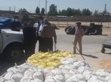برخورد با دلالان گندم در شهرستان ورامین
