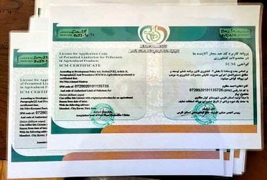 سهم 5 درصدی پیاز گواهی شده از تولید پیاز کوار