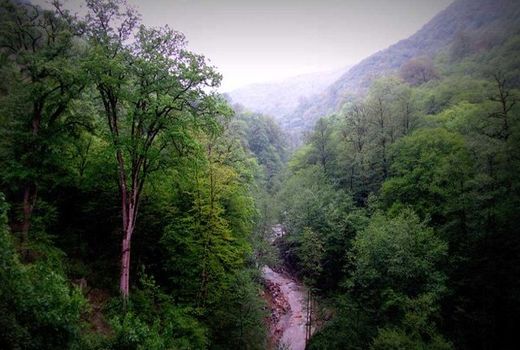  سند جنگل‌های آقمشهد صادر شد