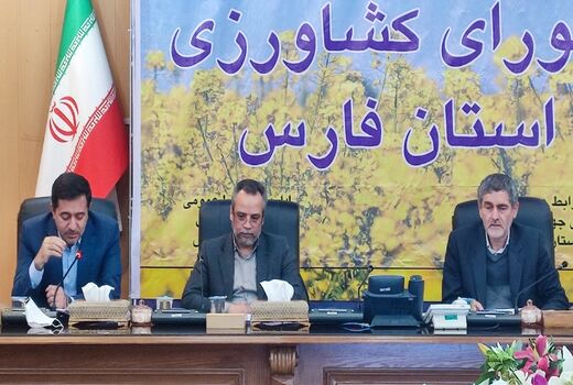 افزایش 5 برابری کشت قراردادی گندم در فارس