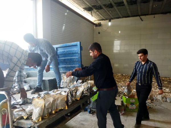 کشف 2800 کیلوگرم کود تقلبی در مرودشت