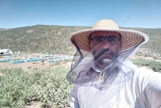 تولیدات زنبورداران نمونه کشوری، خواه ناخواه برند می‌شود