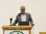 خسارت علف‌های هرز در برخی مزارع غلات به بیش از ۵۰ درصد رسید