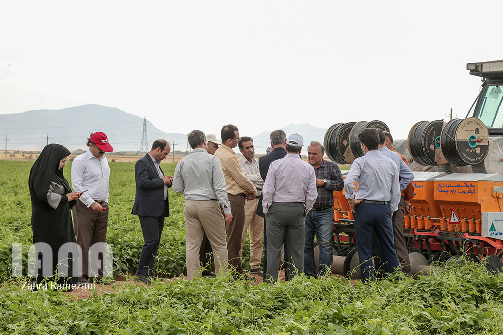 خلاقیت کشاورز خمین برای صرفه جویی آب