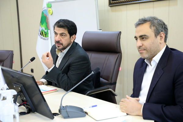 هدف گذاری برای استحصال و تولید 1 میلیون مترمکعب چوب در سال جهش تولید 