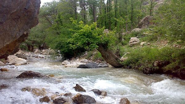 سند رودخانه‌ها به سازمان منابع‌طبیعی باز می‌گردد