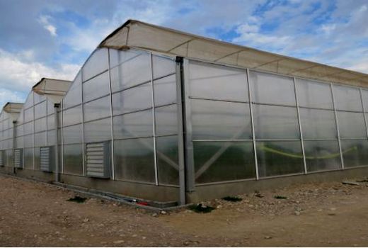 ۲۵۵ میلیارد ریال برای ایجاد گلخانه‌ در خراسان شمالی پرداخت می‌شود