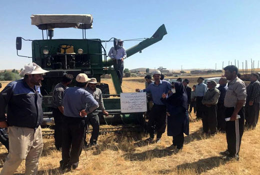 برگزاری ٨١ کلاس آموزشی طرح جهش تولید در دیمزارهای مراغه