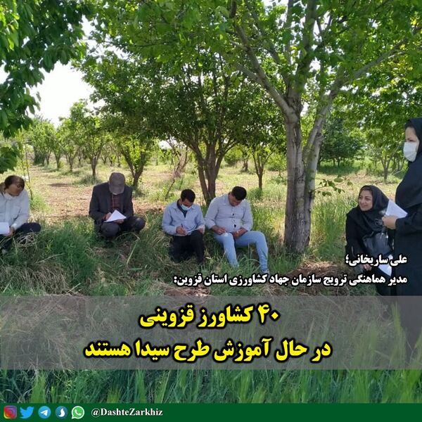 ۴۰ کشاورز قزوینی در حال آموزش در قالب طرح سیدا هستند