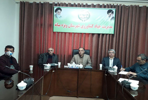 کارگاه آموزش پرورش کرم ابریشم (نوغانداری ) در شهرستان میانه