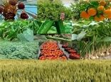 پرداخت تسهیلات جدید  بخش کشاورزی در خراسان جنوبی