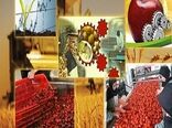 زنجان، استان برتر در فرآوری محصولات کشاورزی