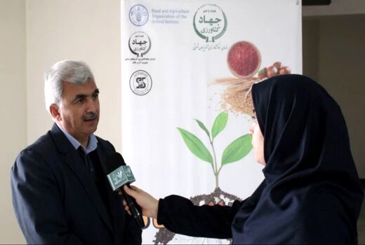 برنامه ریزی برای اجرای ۳۰۰ هزار هکتار کشاورزی حفاظتی  در استان آذربایجان شرقی 