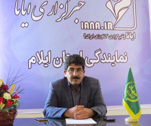 توزیع 24 هزار تن انواع بذور اصلاح شده گندم و جو در ایلام