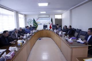 استفاده از پایه های رویشی مهمترین راهکار کاهش سیب صنعتی در باغات استان است