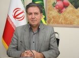 محدودیت ۵۰ نیروی کار در تسهیلات حفظ اشتغال حذف شد/ امکان حمایت از همه کارکنان بیمه‌شده