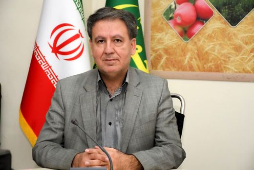 محدودیت ۵۰ نیروی کار در تسهیلات حفظ اشتغال حذف شد/ امکان حمایت از همه کارکنان بیمه‌شده