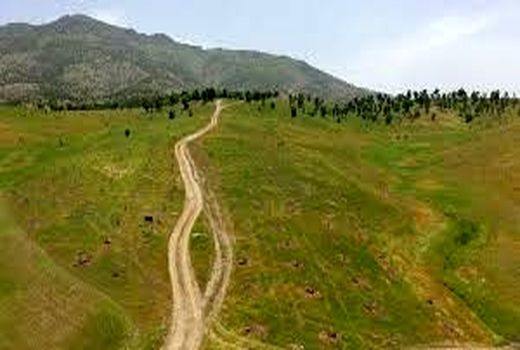 عملیات احیای اکوسیستم های مرتعی استان تهران در سطح 600 هکتار اجرا می شود