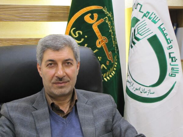 صدور سند برای ۱۱۰ هزار قطعه اراضی کشاورزی در قزوین
