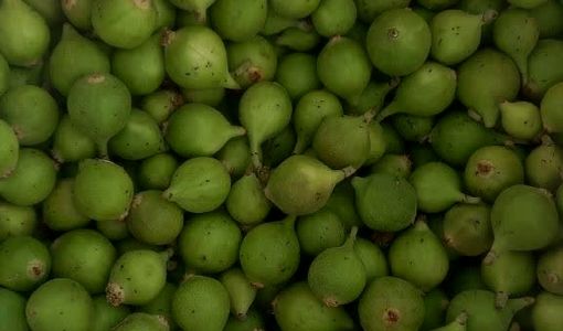 استهبان میزبان بازار فصلی و منحصربه‌فرد بَرانجیر