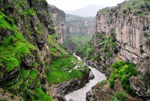 اجرای طرح زراعت چوب در سطح ۵ هزار هکتار از اراضی حاشیه رودخانه سیمره