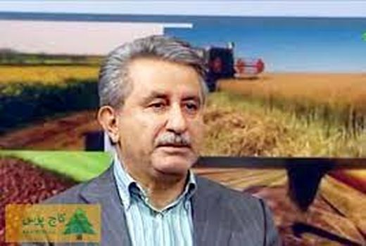 75 درصد تولیدات بخش کشاورزی در حوزه زراعت است 