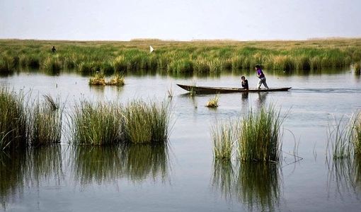 تالاب‌ها سهمی ۲۰ درصدی در معیشت جوامع محلی و پروتئین حیوانی کشور دارند