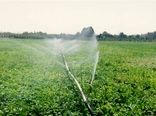 صرفه جویی ۷۵۰ میلیون متر مکعب آب در کشاورزی 