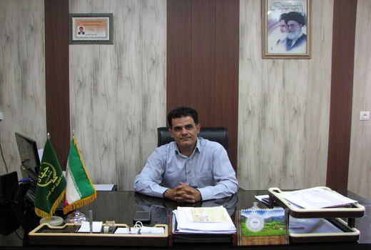 36 هزار تن گندم مازاد بر نیاز کشاورزان بیجاری خریداری شده است